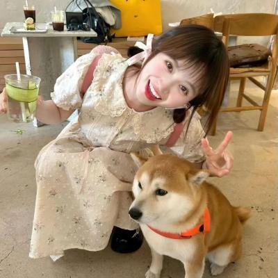 南波万的聚会第三季
